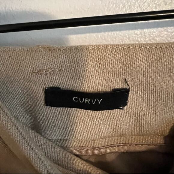 𝅺TALBOTS Khaki Dress Pants Trousers‎ Curvy Sz 10 - Picture 3 of 10